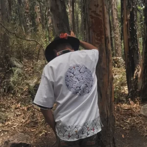 shipibo icaros pattern