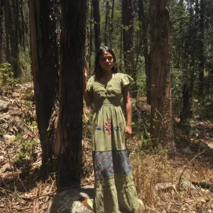Shipibo Dress, Shipibo Icaro of Chirisanago and Piñón Tia Juana Collection, Presenting the work of Shipibo Sister Tia Juana, Puerto Behtel Shipibo Native Community